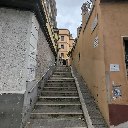 Mati Shelter Rome